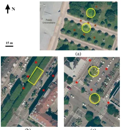 Figure 1: Trees captured by terrestrial laser scanning (in yellow) and the TLS station locations (red stars) in different areas in the city of Strasbourg; a) garden of Palais-U; b) and c) Marne 