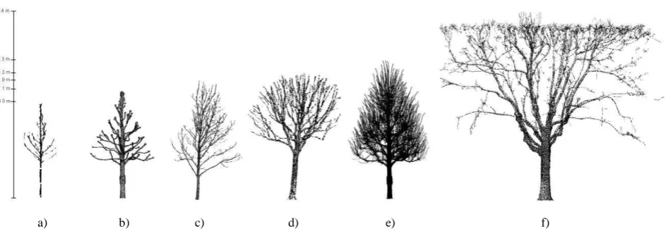 Figure 3: Point clouds of several trees: a) a chestnut tree (1); b) a pruned silver lime tree; c) a chestnut tree (2); d) a pruned chestnut tree; e) a pruned silver lime tree with shoots and f) a pruned plane tree