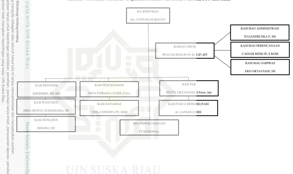 Gambar 4.1 Daftar Struktur Organisasi Badan Narkotika Nasional Provinsi Riau 