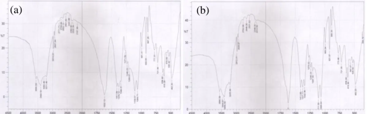 Gambar 6. Spektrum FTIR Gel Metasilikat (a) Sekam Padi (b) Murni 