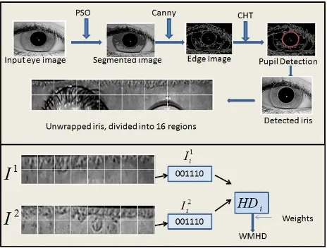 Figure 1. The proposed Iris Authentication frame work