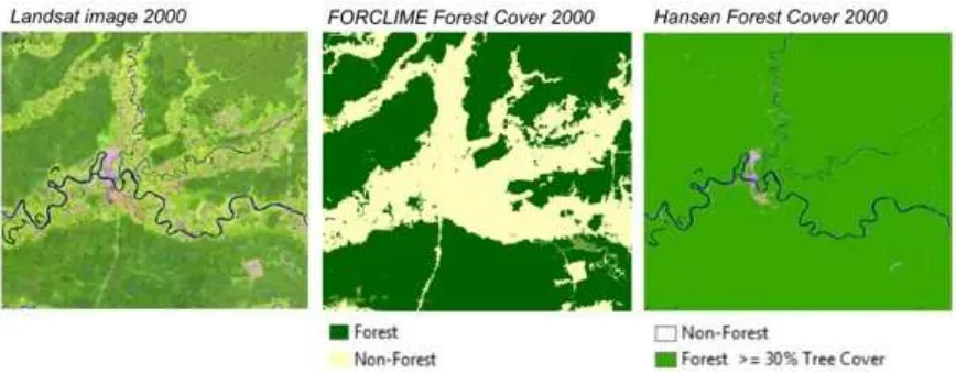 Figure 2: Hansen forest loss superimposed with FORCLIME land-cover classification in Kapuas Hulu, West Kalimantan, Indonesia 