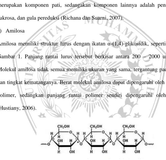 Gambar 1. Struktur Rantai Molekul Amilosa b)  Amilopektin 