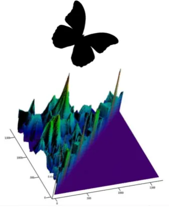 Figure 2. The example of a binary image and the surface 