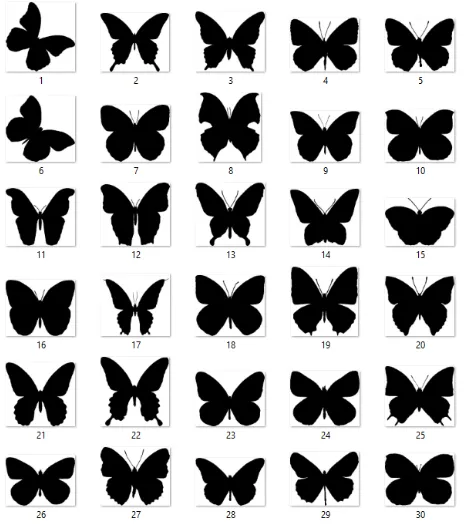 Figure 3. “Butterflies” database 