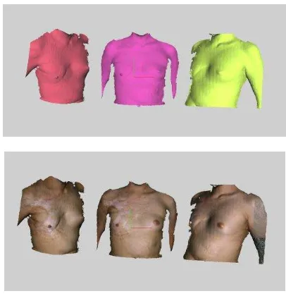 Figure 3. A set of 2.5D fragments scanned for 3D model generation 