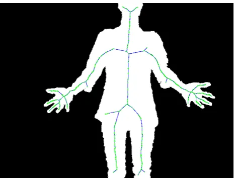 Figure 1. Example of a skeletal representation for a binary image