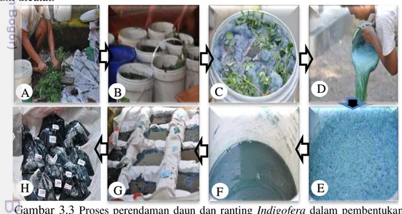 Gambar  3.3  Proses  perendaman  daun  dan  ranting  Indigofera  dalam  pembentukan  pasta indigo dari bahan daun Indigofera