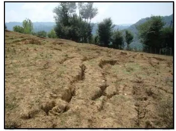 Figure 2: A landslide-prone area with tensile cracks in the northwest-southeast direction  