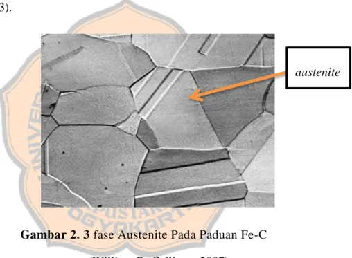 Gambar 2. 3 fase Austenite Pada Paduan Fe-C  (William D. Callister, 2007) 