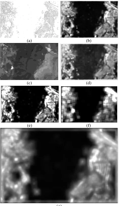 Fig.5-(g). As can be seen from the Fig.5-(g), the artificial areas detected by the method of multi scales and multi visual saliency features are better in regional continuity, but the  decomposition line between artificial areas and non-artificial areas is