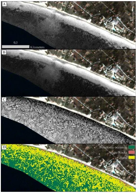 Table 4. Error matrix of Fig. 3D after the application of UBD on Planet imagery. CN: Cymodocea nodosa seagrass, PO: Posidonia oceanica seagrass, A/R: Algae and Rocks, S: Sand   