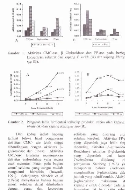 Gambar 1.Aktivitas CMC-ase, Glukosidase dan FP-ase pada Bberbagaikonsentrasi substrat darikapang T