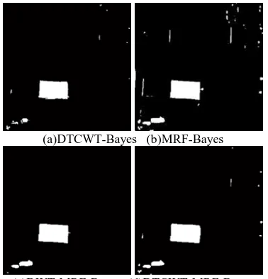 Fig 11.  Change detection results of TM5 images of Rondonia (c)DWT-MRF-Bayes  (d)DTCWT-MRF-BayesState in Brazil 