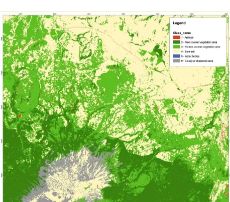 Figure 5. Land cover classification in the Tanzanian area 