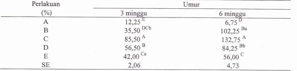 Tabel 3. Rataan total koloni bakteri Lactobacillus sp(x 10'CFU /g)pada illeum ayam broiler umur 3 dan 6 minggu
