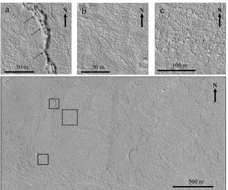 Figure 1. Platy-ridged-polygonised terrain (Part of HiRISE image PSP_003571_1880_RED.jp2)