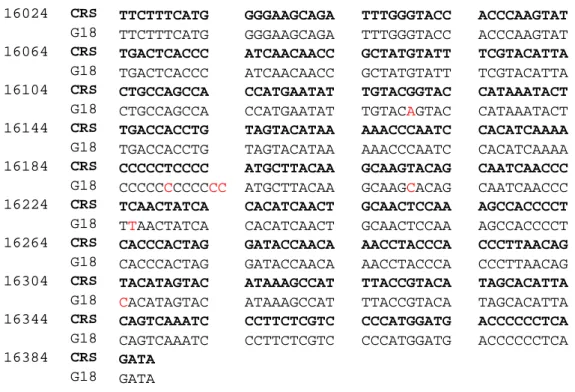 Gambar 4.6 Contoh analisis perbandingan urutan fragmen 0,4 kb mtDNA manusia terhadap 