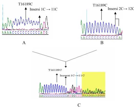 Gambar 4.8 Contoh urutan nukleotida campuran klon DNA 