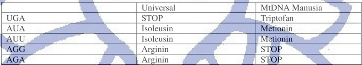 Tabel II.1  Perbedaan kodon mtDNA manusia dengan kodon universal.  