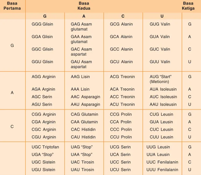 Tabel 3.3 Kode Genetik (Kodon dari RNA-d) Basa Pertama Basa Kedua Basa Ketiga G A C U G