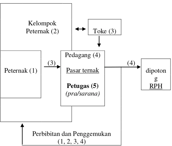 Gambar 1: Sistem dan komponen proses pemasaran ternak di Sumatera Barat. 