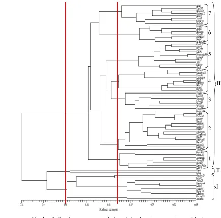 Gambar 8. Dendrogram mangga Indonesia berdasarkan penanda morfologi 
