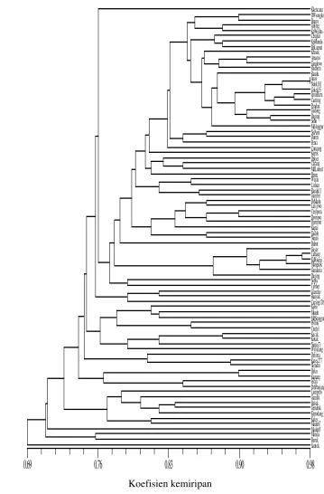 Gambar 9.  Dendrogram mangga Indonesia berdasarkan penanda RAPD 