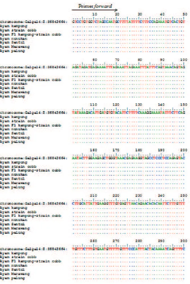 Gambar 3. Perunutan sekuen gen CAST pada ayam dengan sekuen dari nomor akses CAST ENSGALG00000014682