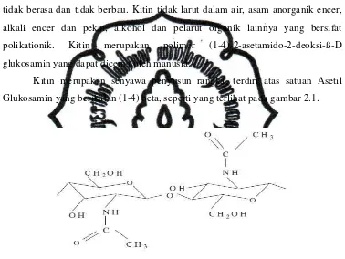 Gambar 2.1 Struktur Kitin (Rifai, 2007) 