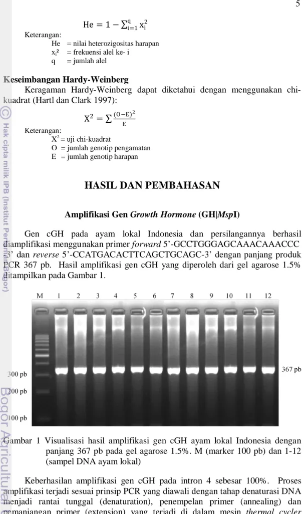 Gambar 1 Visualisasi hasil amplifikasi gen cGH ayam lokal Indonesia dengan  panjang  367 pb pada gel agarose 1.5%