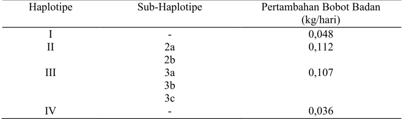 Tabel 2. Polimorfisme Genetik Sapi Madura Di Pamekasan Hasil PCR-RFLP  Haplotipe   Sub-haplotipe  Frekuensi (%)  Posisi Fragmen  450  375  325  275  200  125  I  -  3/10 (30)  x  -  -  -  -  -  II  2a  1/10 (10)  x  -  -  -  -  x  2b  2/10 (20)  -  -  -  -
