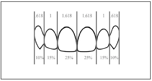 Gambar 1.  Garis median wajah yang segaris dengan filtrum dan tegak lurus dengan garis interpupil1 