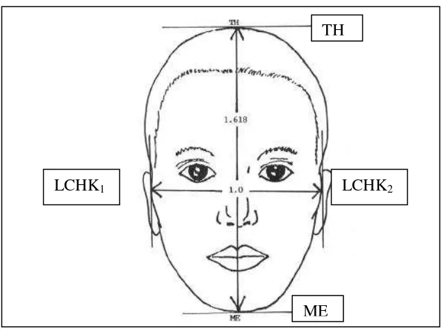 Gambar 9. Proporsi wajah eksternal8 TH = Top of the head LCHK1 = Lateral border of the cheek1LCHK2 = Lateral border of the cheek2ME = Menton 
