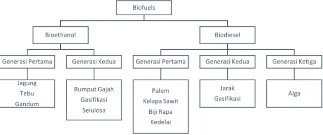 Gambar 2.  Klasifikasi Biofuel berdasarkan bahan bakunya. 