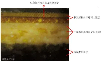 Figure 11. Microscopic image of paint layers of Fuwangge