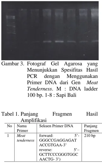 Tabel 1.  Panjang  Fragmen  Hasil 