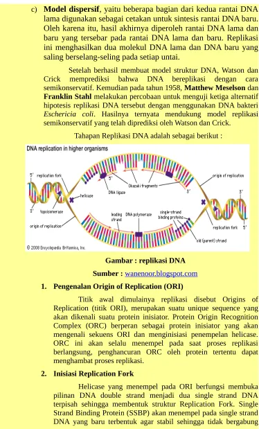 Gambar : replikasi DNA 