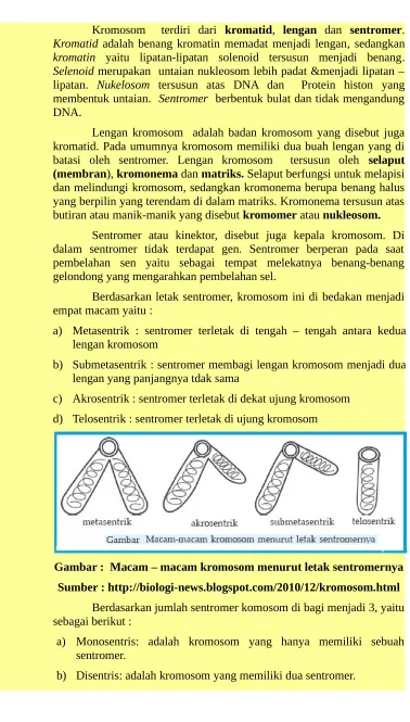 Gambar :  Macam – macam kromosom menurut letak sentromernya