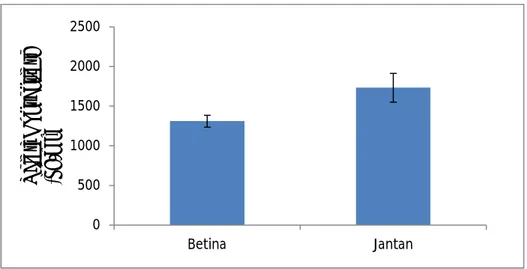 Tabel  5.2 di  atas  menunjukkan  rerata  konsentrasi  hormon  pertumbuhan sapi  bali  jantan lebih  tinggi  (1735,20±181,76)  dibandingkan dengan sapi  bali betina (1312,76±75,27)