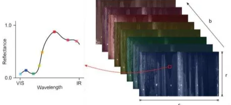 Figure 4. r×c×b multispectral image and a spectral signature 