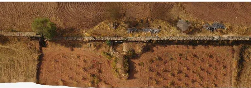 Figure 9. 3D mesh of Roman dam section generated from captured drone-based imagery 