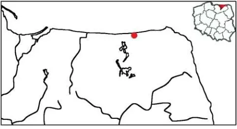 Figure 1. Location of the Pyramid in Rapa, Banie Mazurskie commune (NE Poland). 