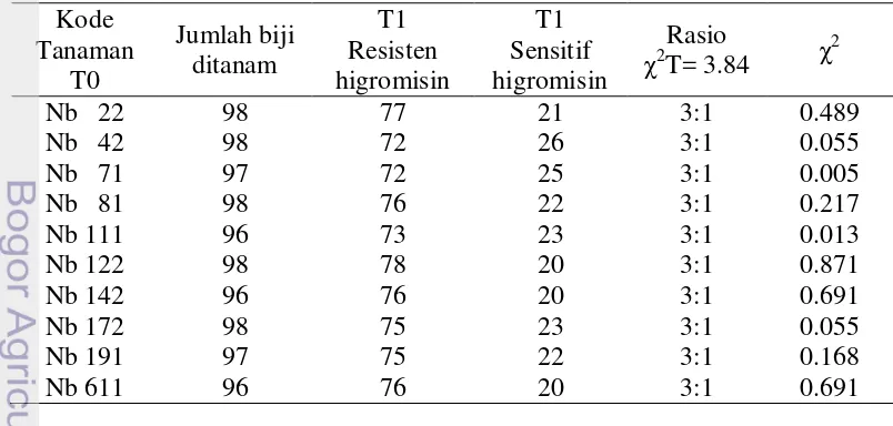 Tabel 3  Hasil uji keturunan dari T0 N. benthamiana dalam media seleksi MS + 