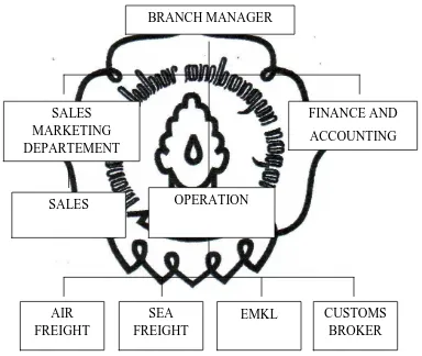 Gambar 3.2.Struktur Organisasi Freight Forwarder Agility Internasional  