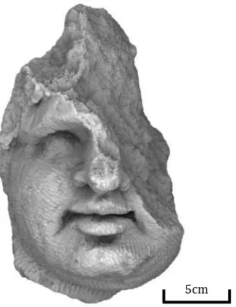 Figure 2. Head fragment, as an example of small object to  record  