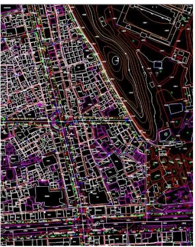 Figure 14. Extracted digital map on target area using UAV image (1:1000) 