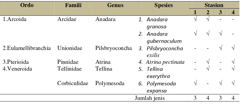 Gambar 4.2.6 Pilsbryoconcha exilis (kijing) 
