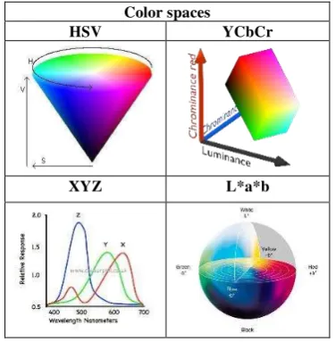 Figure 5. L*a*b color space image and its three channels 