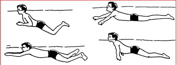 Gambar 6   Posisi tubuh saat melakukan renang gaya dada 